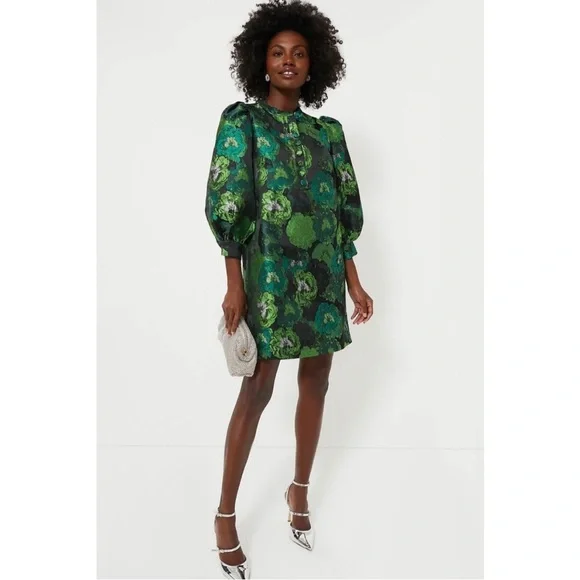 NEW Pomander Place Tuckernuck green floral jacquard Samantha dress puff sleeves - Picture 1 of 13